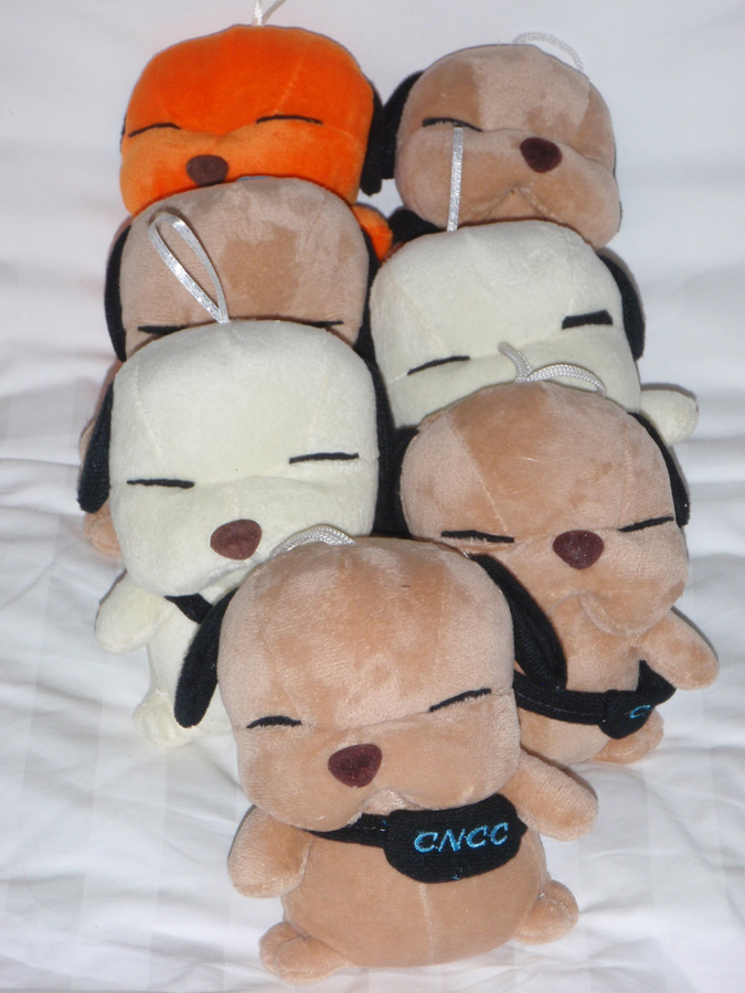 Placed on our bed each night.